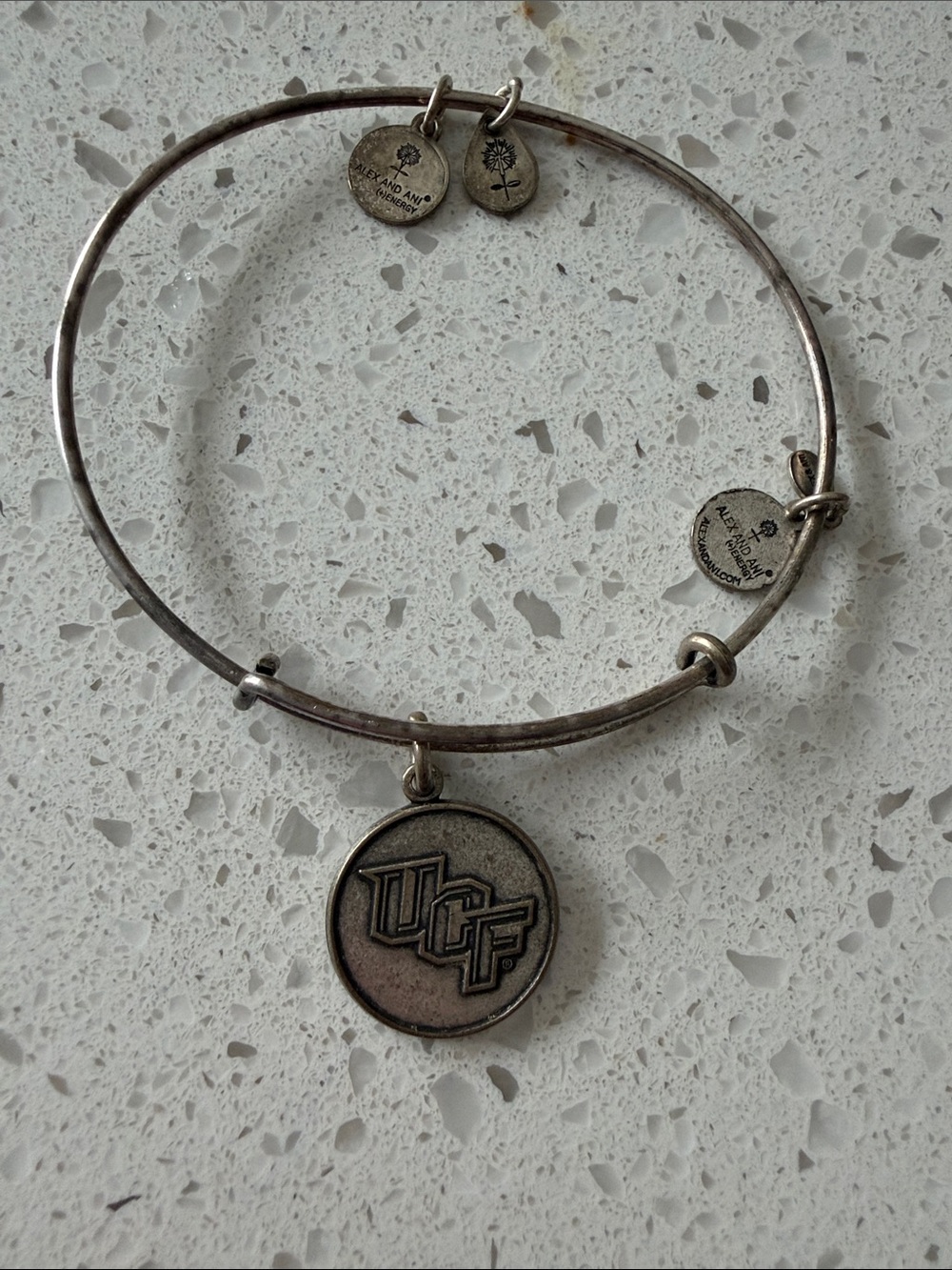 Alex and Ani Silver-Tone UCF Charm Bangle Bracelet